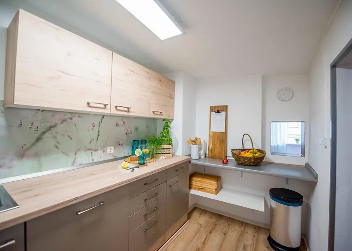 Stilvolle Am Historischen Nikolaitor Appartement *